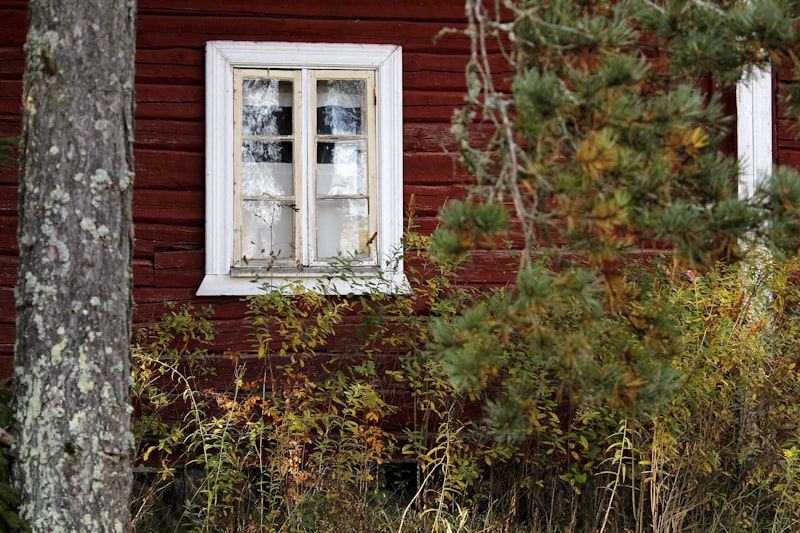 Vinyl vs. Wood Windows