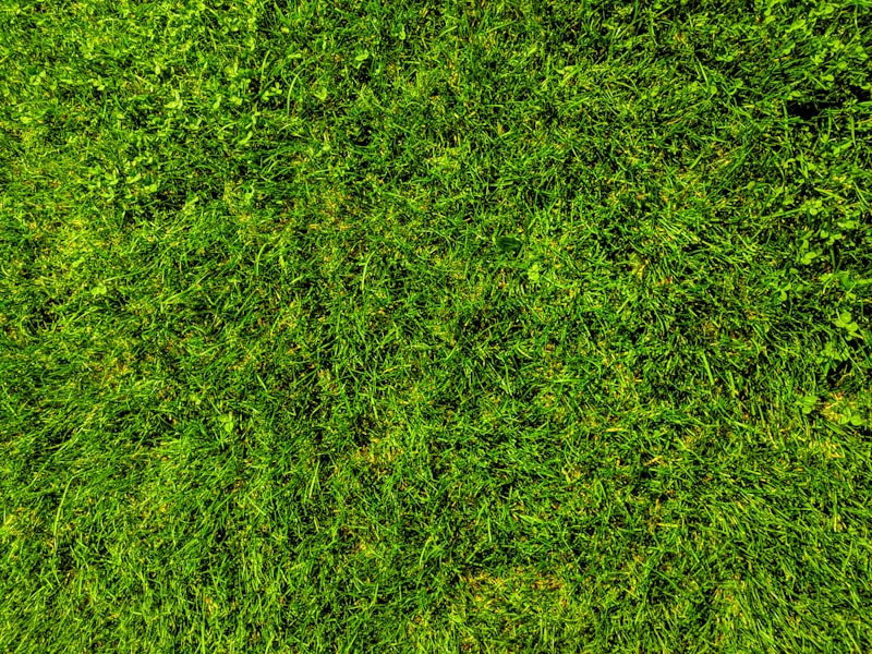 Sod Installation Cost Calculator