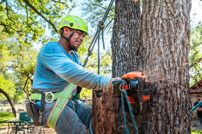 Tree Removal Cost Calculator