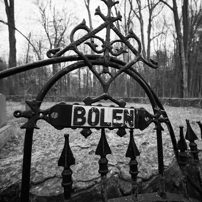 Wrought Iron Fence Cost Calculator